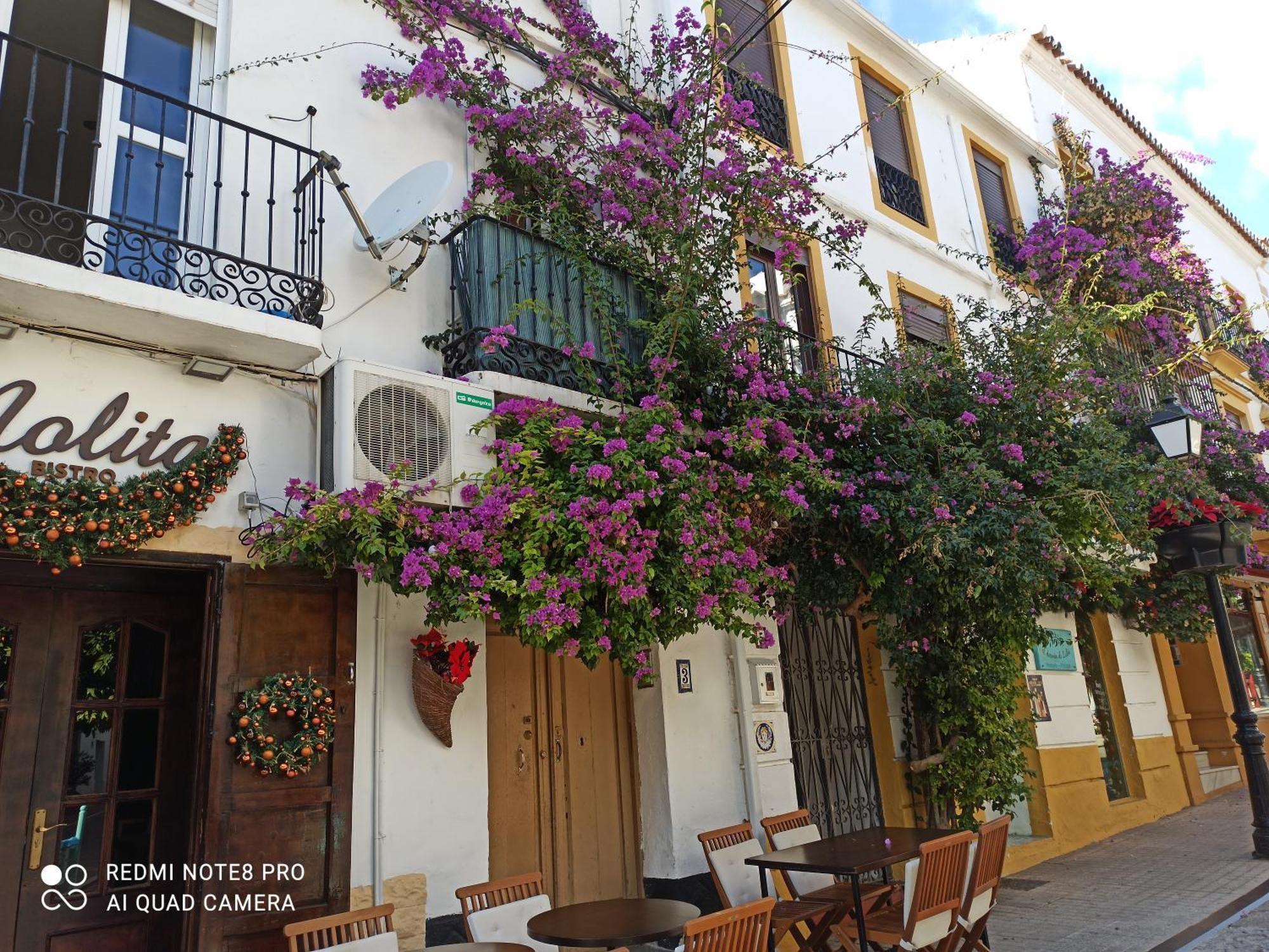 Bambino Playa Apartman Marbella Kültér fotó